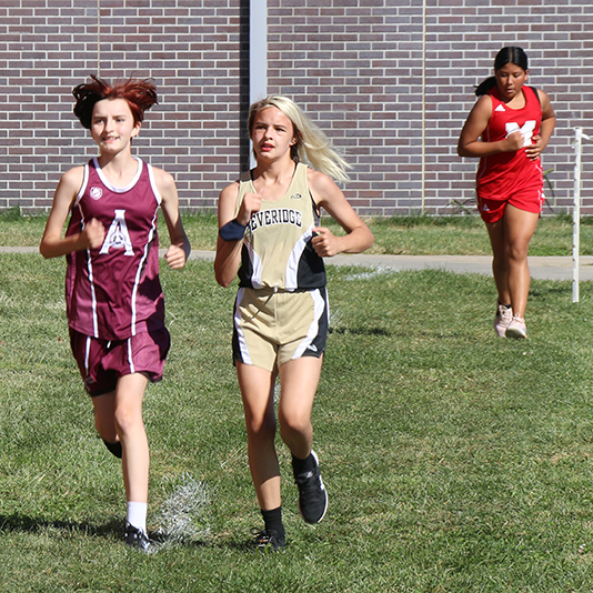  Three girls from different schools competing in a cross country race
